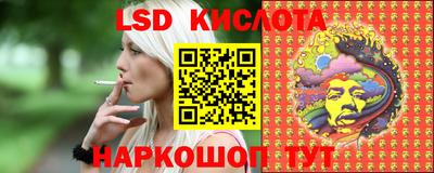шишки Кандалакша