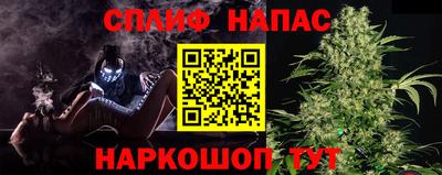 тгк Канаш