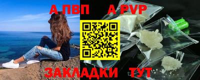 шишки Кандалакша
