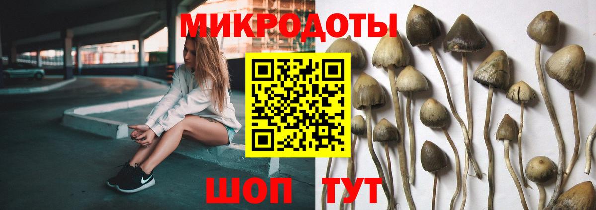 Псилоцибиновые грибы MAGIC MUSHROOMS  Галлюциногенные грибы Cubensis  Вход с VPN  Костомукша 